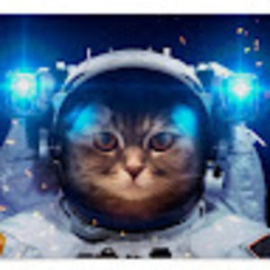 Meet your Posher, Peter